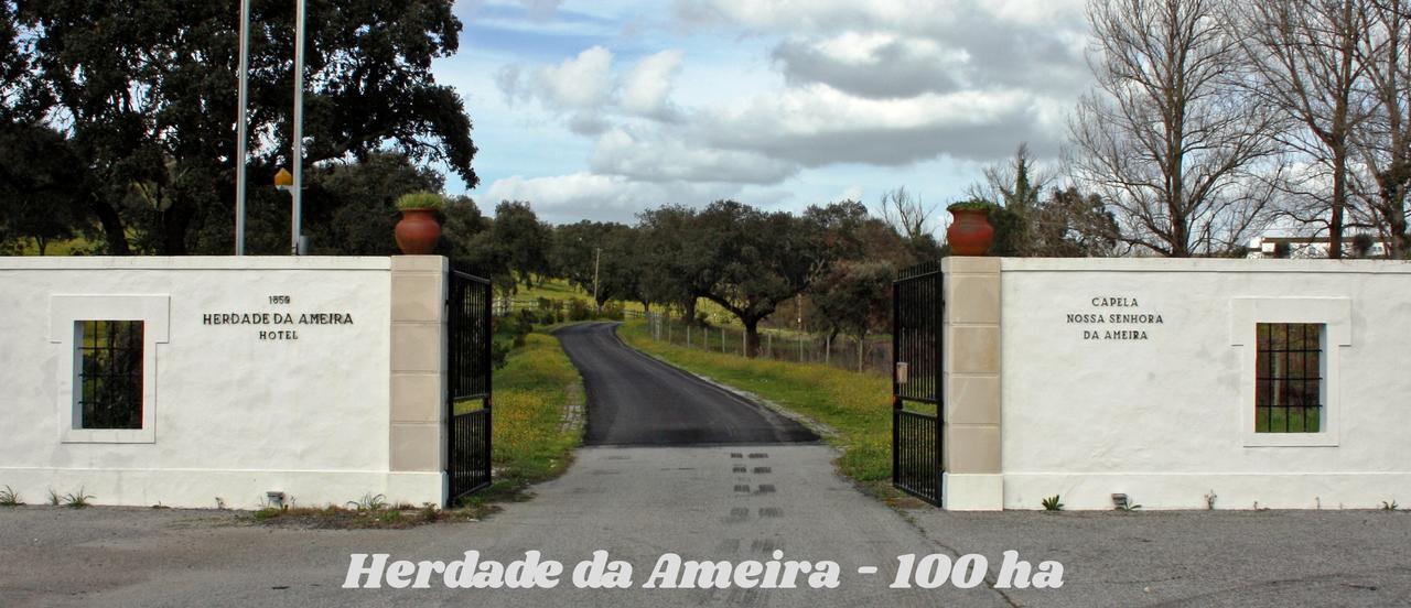 Hotel Rural Da Ameira モンテモル・オ・ノボ エクステリア 写真